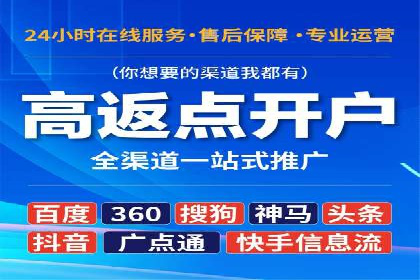 行业领先企业的关键词竞价排名实战案例